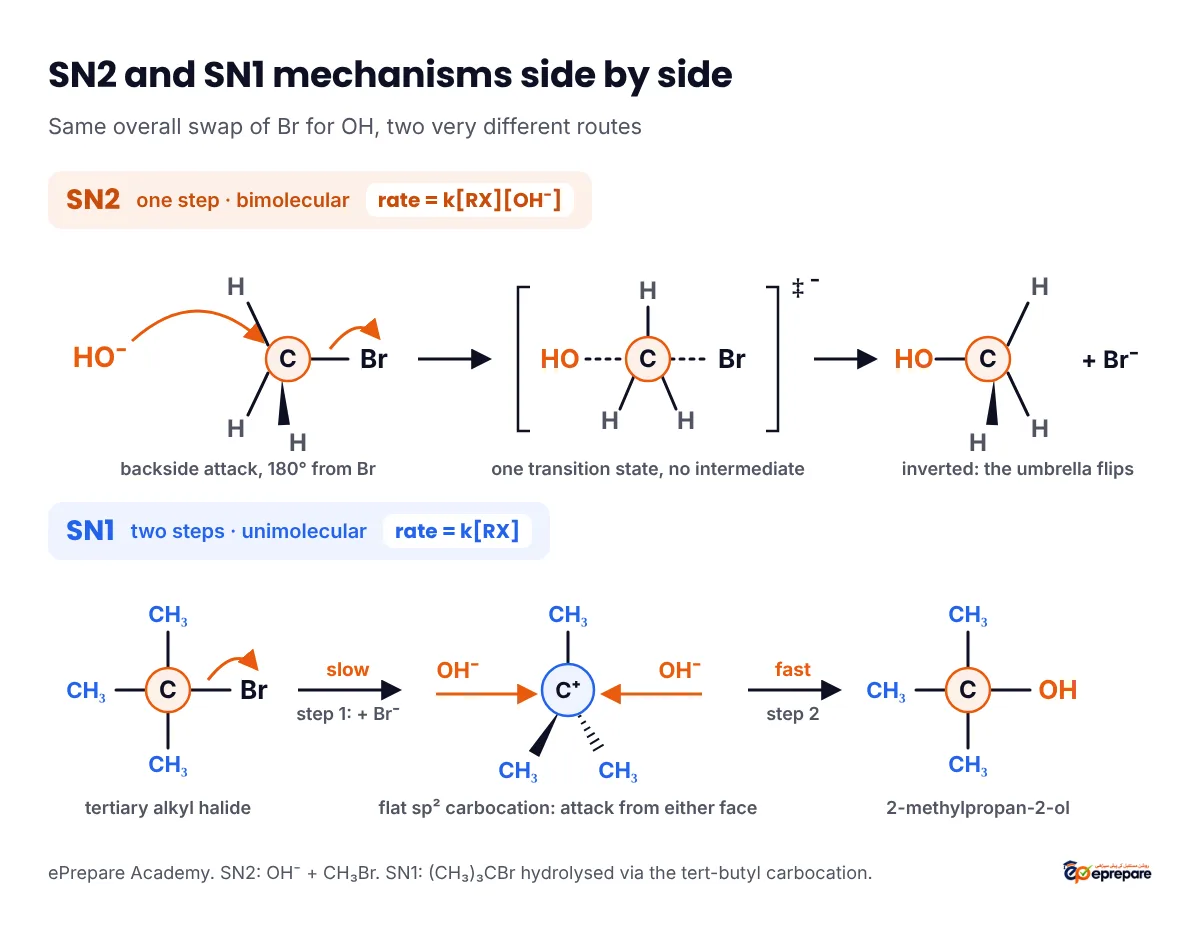 SN2 and SN1 mechanisms: in SN2, OH- attacks bromomethane from the back through one transition state and the product is inverted; in SN1, tert-butyl bromide ionises slowly to a flat carbocation that OH- attacks quickly from either face to give 2-methylpropan-2-ol