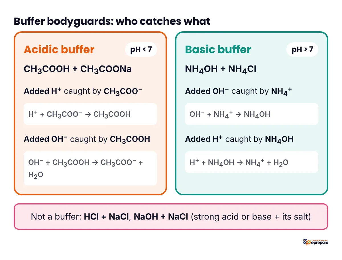 Infographic comparing the two buffers: in the acidic buffer CH3COOH plus CH3COONa, added H+ is caught by CH3COO- and added OH- by CH3COOH; in the basic buffer NH4OH plus NH4Cl, added OH- is caught by NH4+ and added H+ by NH4OH; a bottom bar notes that HCl plus NaCl is not a buffer.