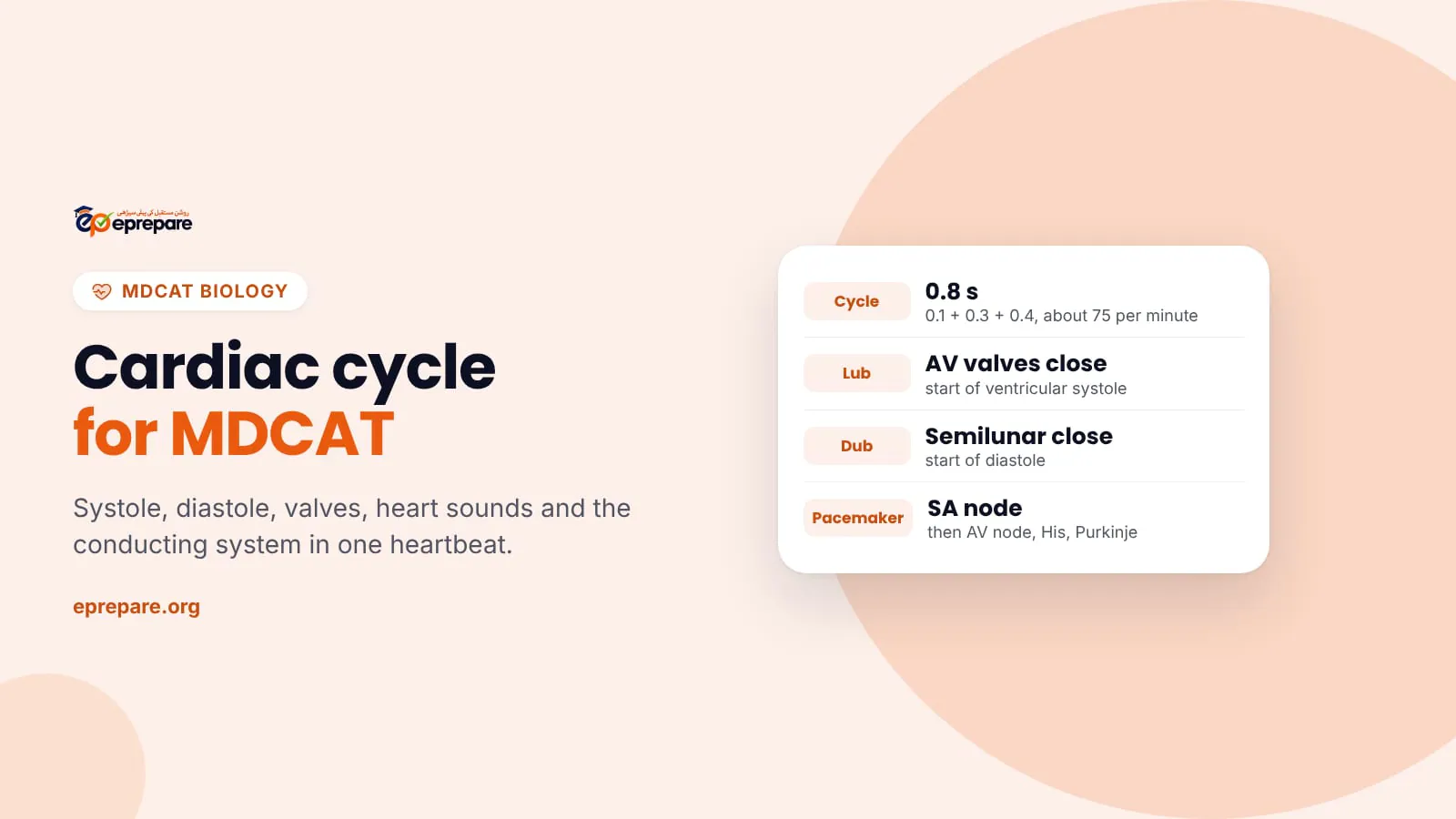Cover titled Cardiac cycle for MDCAT, with a card showing the 0.8 second cycle, the causes of the lub and dub heart sounds and the SA node pacemaker