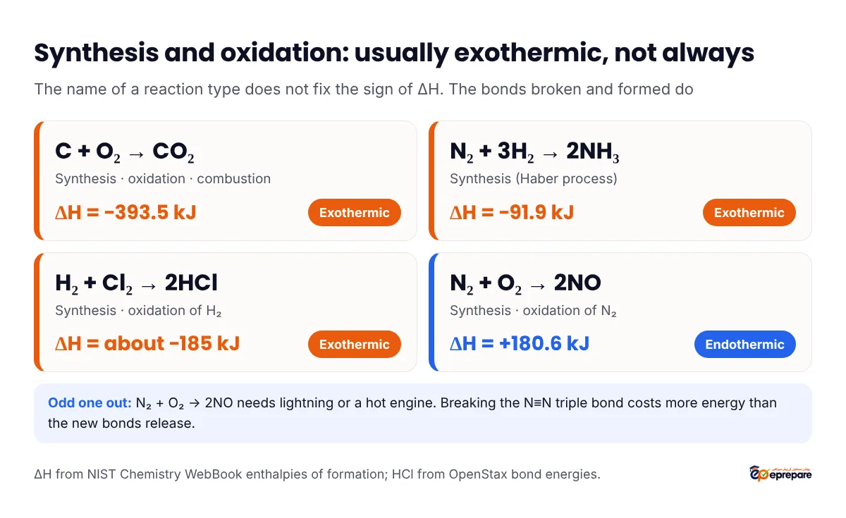 Four reaction cards: carbon burning to carbon dioxide minus 393.5 kJ exothermic, the Haber process minus 91.9 kJ exothermic, hydrogen and chlorine to hydrogen chloride about minus 185 kJ exothermic, and nitrogen and oxygen to nitric oxide plus 180.6 kJ endothermic, showing that synthesis and oxidation can go either way