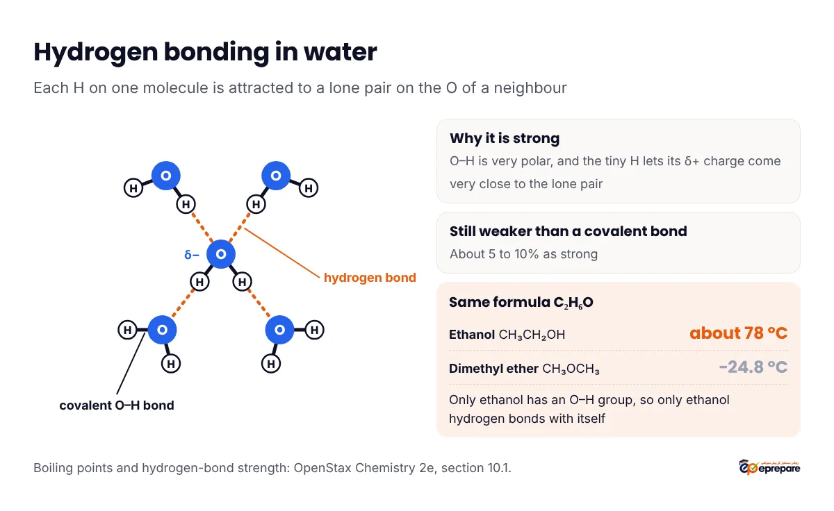 Labelled diagram of hydrogen bonding in water, with solid lines for covalent O-H bonds and dashed lines for hydrogen bonds from the partially positive H of one molecule to a lone pair on the O of another; alongside, ethanol boils at about 78 degrees C while dimethyl ether, with the same formula C2H6O, boils at minus 24.8 degrees C because it cannot hydrogen bond with itself
