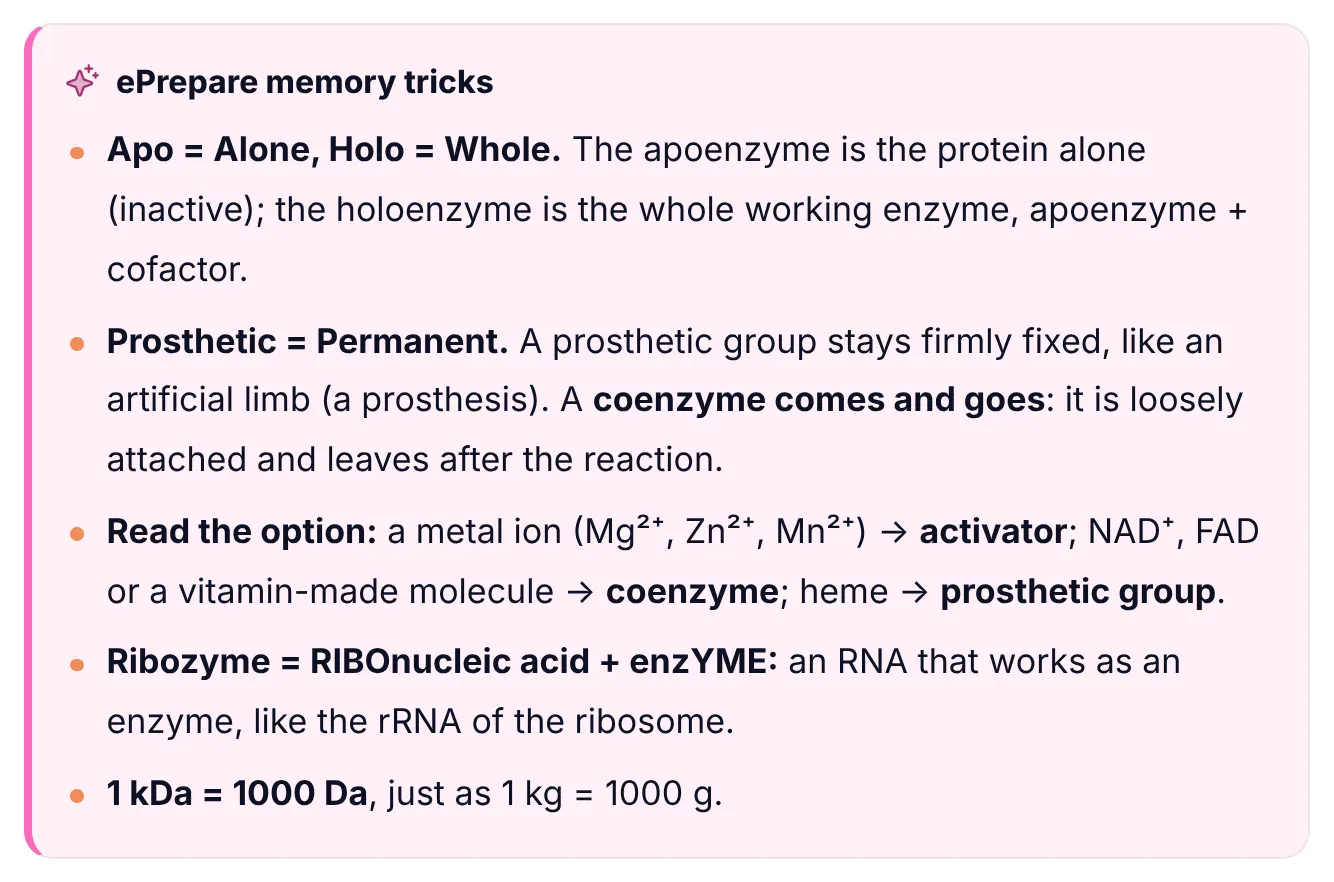 ePrepare memory tricks box from the Enzymes notes: Apo equals Alone and Holo equals Whole, Prosthetic equals Permanent, how to read an option to tell an activator from a coenzyme or prosthetic group, Ribozyme equals ribonucleic acid plus enzyme, and 1 kDa equals 1000 Da