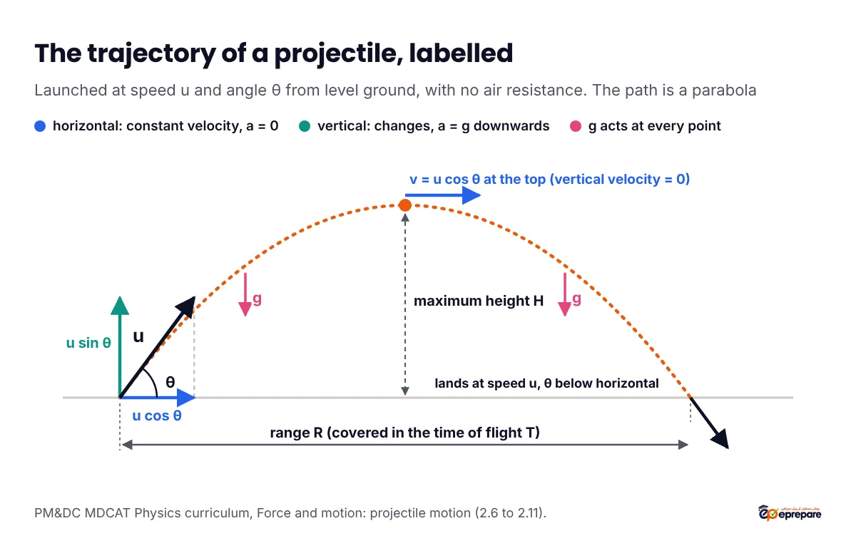 Labelled projectile trajectory: launch velocity u at angle theta with components u cos theta horizontally and u sin theta vertically, a dotted parabolic path, velocity u cos theta at the top where vertical velocity is zero, maximum height H, gravity g acting downward at every point, range R covered in the time of flight T, and landing at speed u at angle theta below the horizontal
