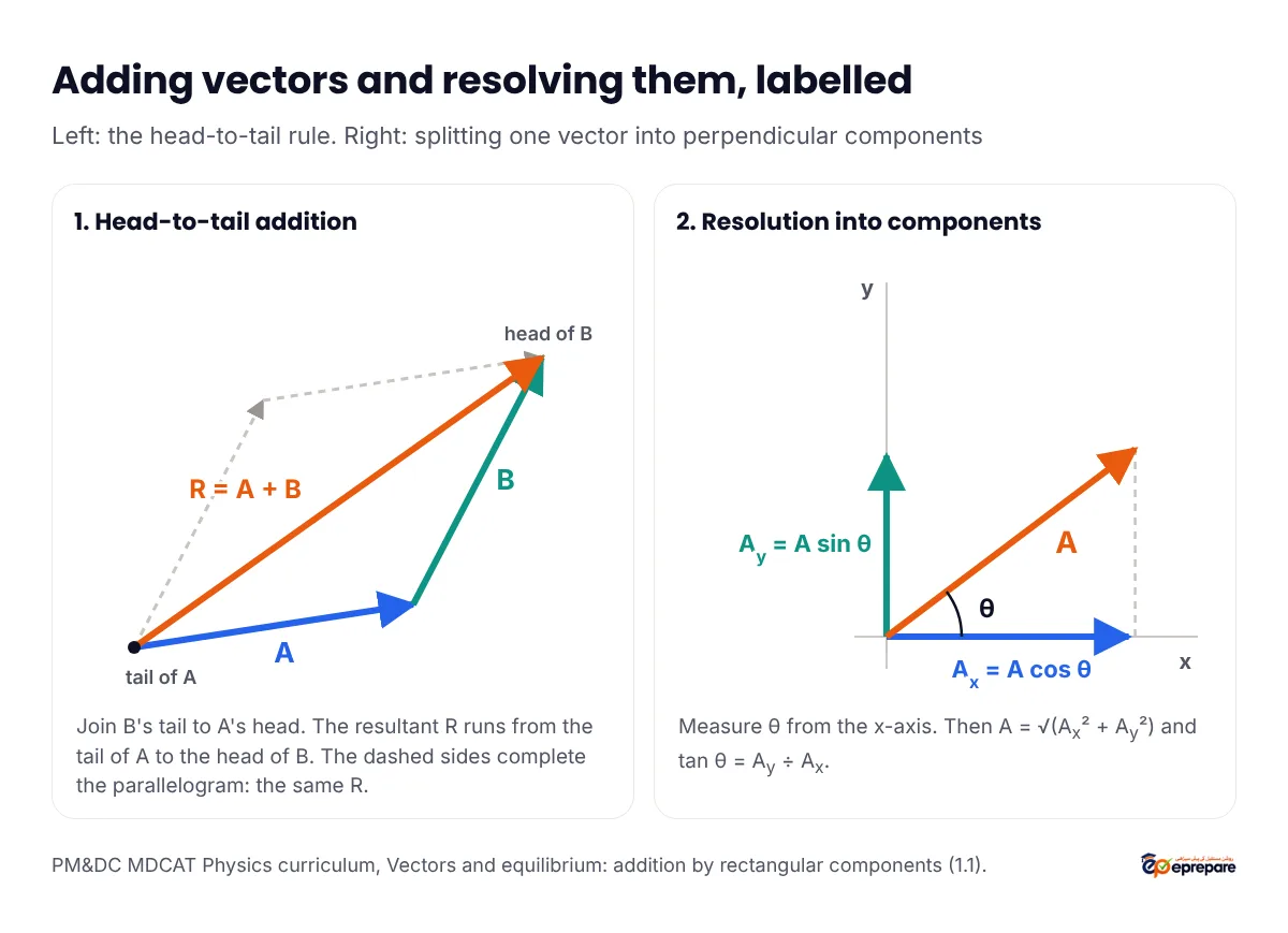 Labelled diagram: on the left, vector A followed by vector B head to tail, with the resultant R equal to A plus B from the tail of A to the head of B and a dashed parallelogram; on the right, a vector A at angle theta to the x-axis resolved into Ax equals A cos theta along x and Ay equals A sin theta along y