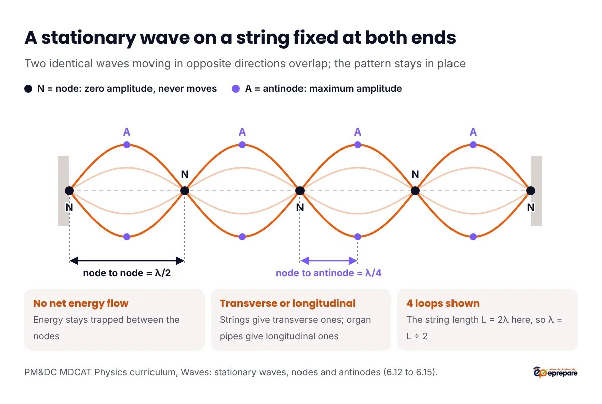 Stationary wave on a string fixed at both ends, vibrating in four loops, with nodes N at the ends and between loops, antinodes A at the middle of each loop, node to node marked as half a wavelength and node to antinode as a quarter of a wavelength
