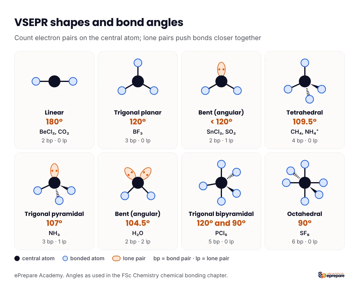 VSEPR shapes with bond angles: linear 180 degrees (BeCl2, CO2), trigonal planar 120 (BF3), bent below 120 (SnCl2, SO2), tetrahedral 109.5 (CH4), trigonal pyramidal 107 (NH3), bent 104.5 (H2O), trigonal bipyramidal 120 and 90 (PCl5) and octahedral 90 (SF6)